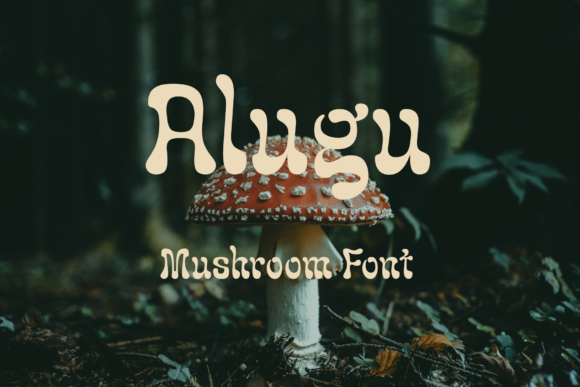Alugu: A Real-World Designer Review